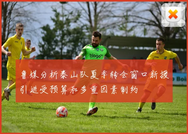 鲁媒分析泰山队夏季转会窗口新援引进受预算和多重因素制约